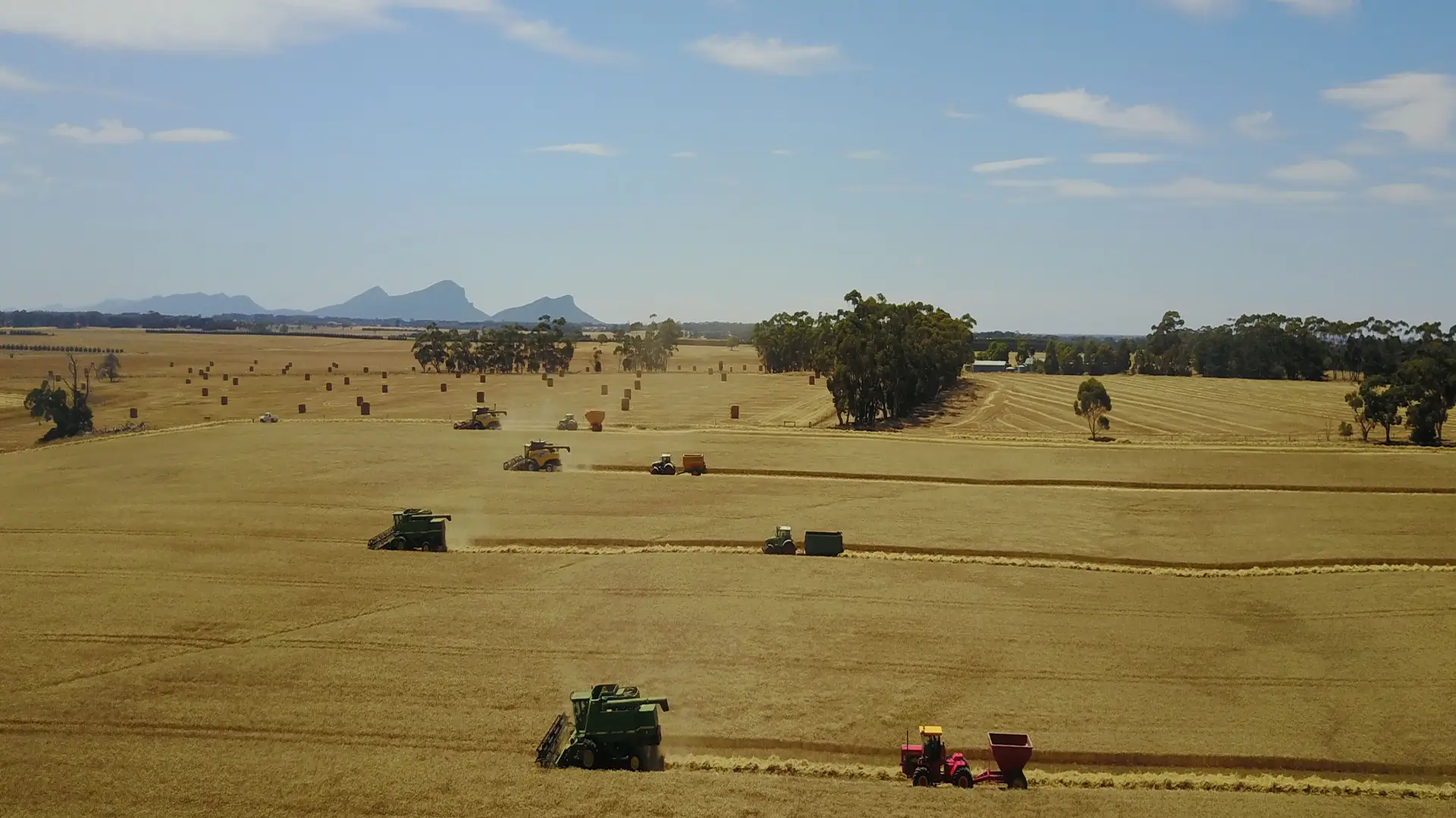 Australian grown certified organic flaxseed brought to you nutritionally intact